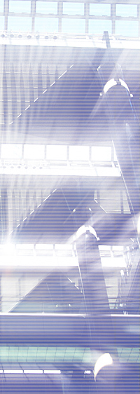 �����N�W